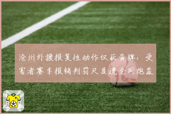 沧州外援报复性动作仅获黄牌，受害者赛季报销判罚尺度遭全网炮轰