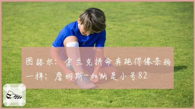 图赫尔：索兰克拼命奔跑得像条狗一样；詹姆斯-加纳是小号82