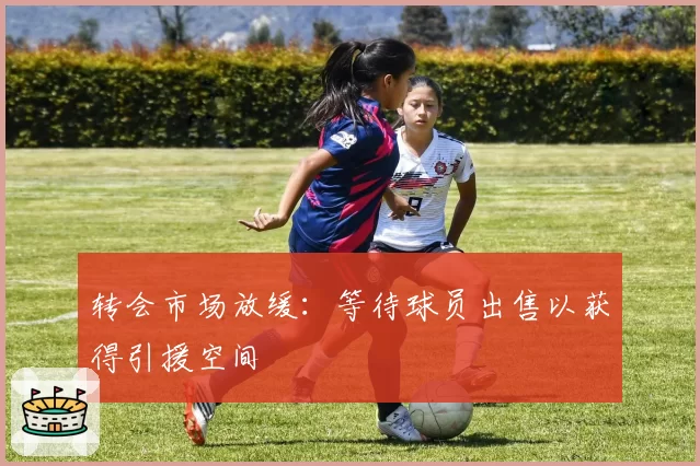转会市场放缓：等待球员出售以获得引援空间