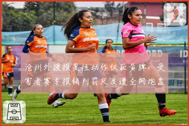沧州外援报复性动作仅获黄牌，受害者赛季报销判罚尺度遭全网炮轰