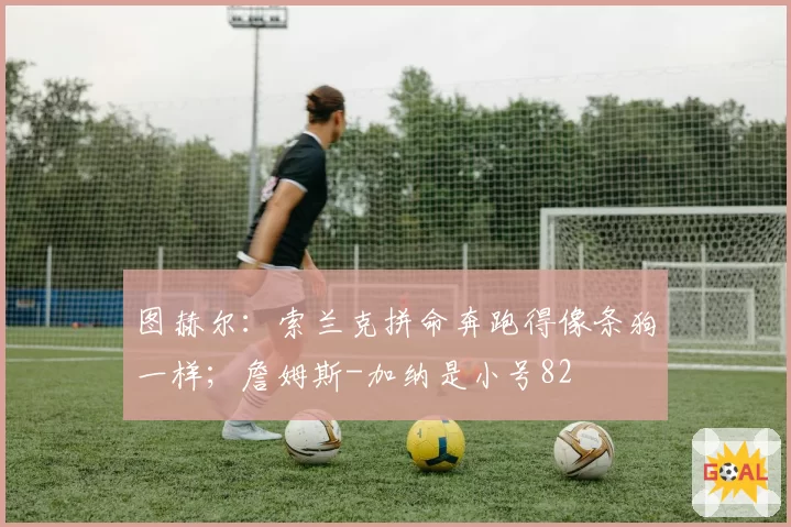 图赫尔：索兰克拼命奔跑得像条狗一样；詹姆斯-加纳是小号82