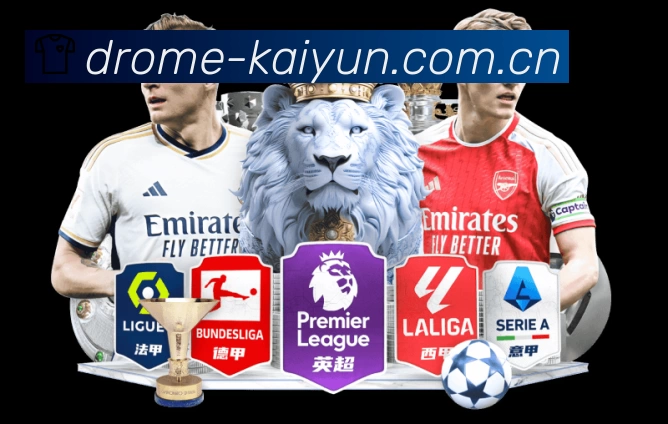 体育平台欢迎图